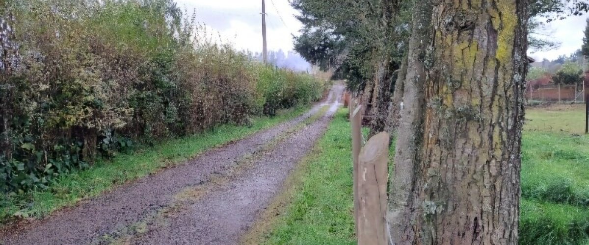 Calle de acceso al terreno urbano en venta en Temuco